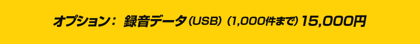 オプション： 録音データ（USB）（1,000件まで）15,000円